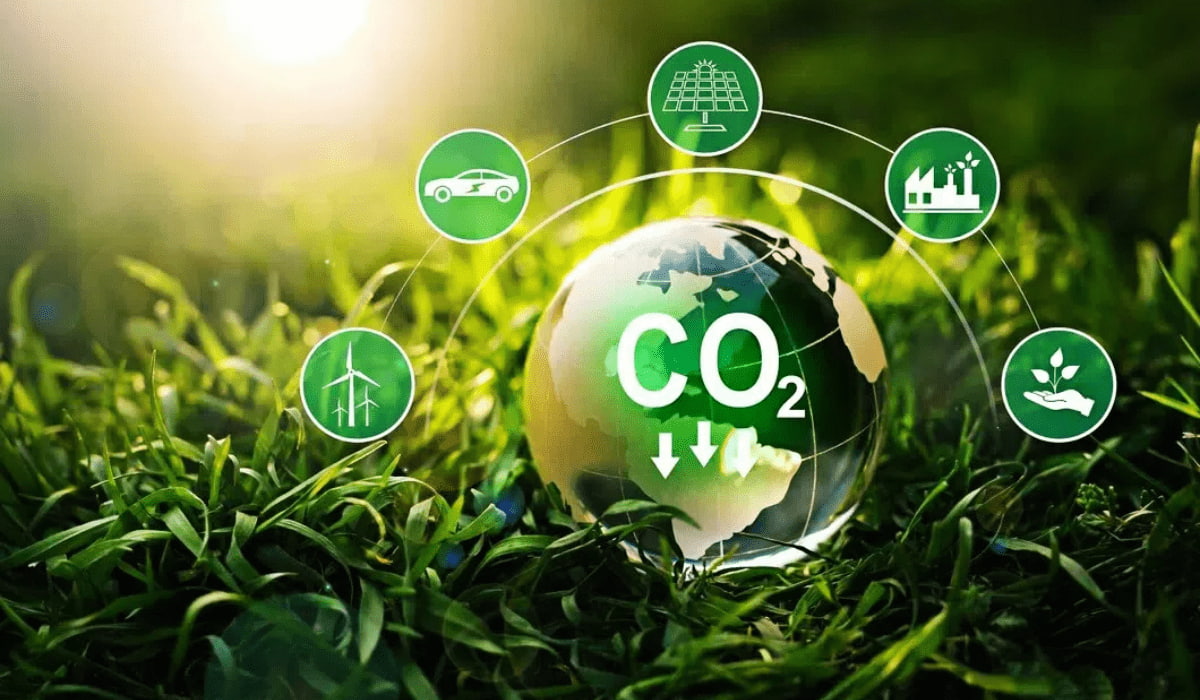 Why Are Electric Counterbalance Forklifts Gaining Popularity?